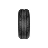 Foto pneumatico: FORTUNA, Gowin UHP 205/55 R16 91V Invernali